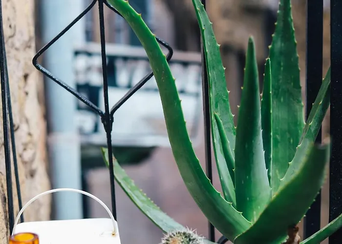 Casa vacanze Numero 8 A Traditional Basque Village Homestead La Guardia