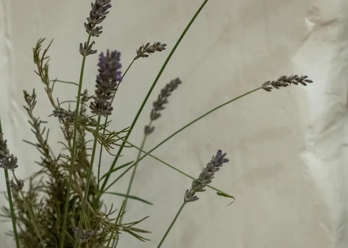 Casa vacanze Numero 8 A Traditional Basque Village Homestead *