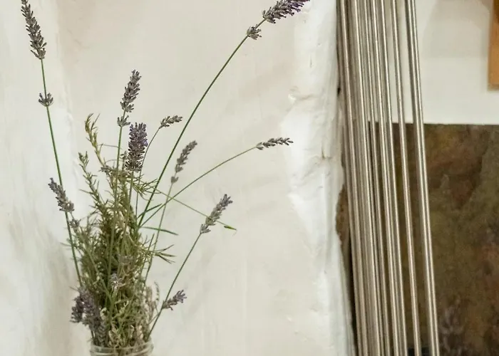 Numero 8 A Traditional Basque Village Homestead * La Guardia