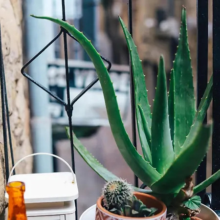 Дом отдыха Numero 8 A Traditional Basque Village Homestead Лягвардиа